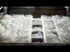 SHM-Zellstoffform-Clamshell-Box-Maschine