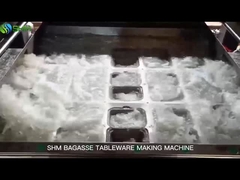Automatische Zuckerrohrbagasse-Tischgeschirrherstellung / Pulpplattenherstellungsmaschine