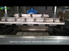 110 kW Pulpformmaschine für Tischgeschirr